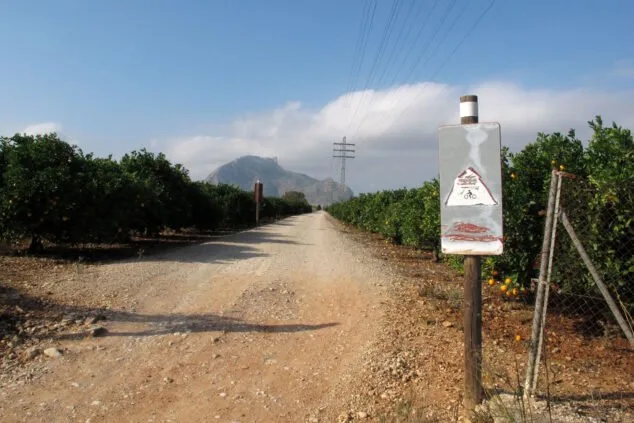 via verda denia con segaria al fondo