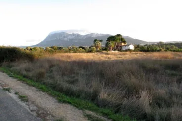 Vistas al Montgó junto a la Via Verda de Dénia