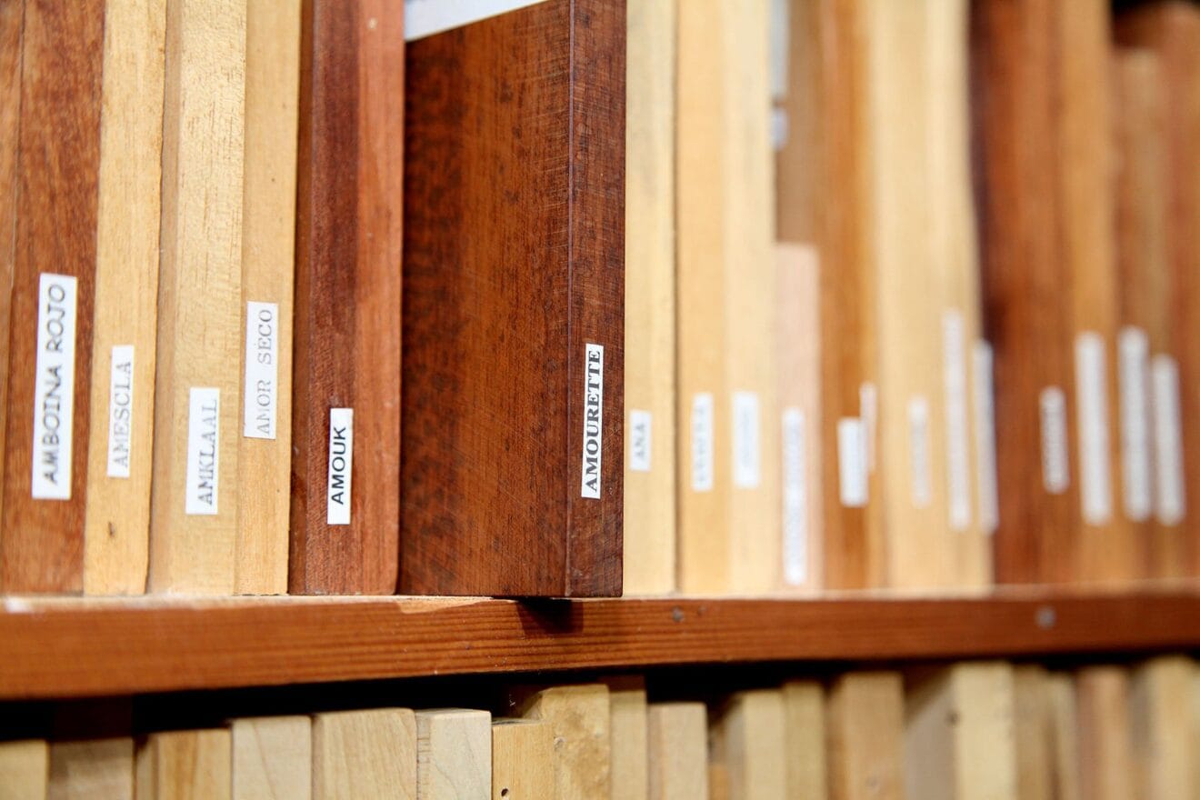 Amourette, la madera más valiosa de la colección