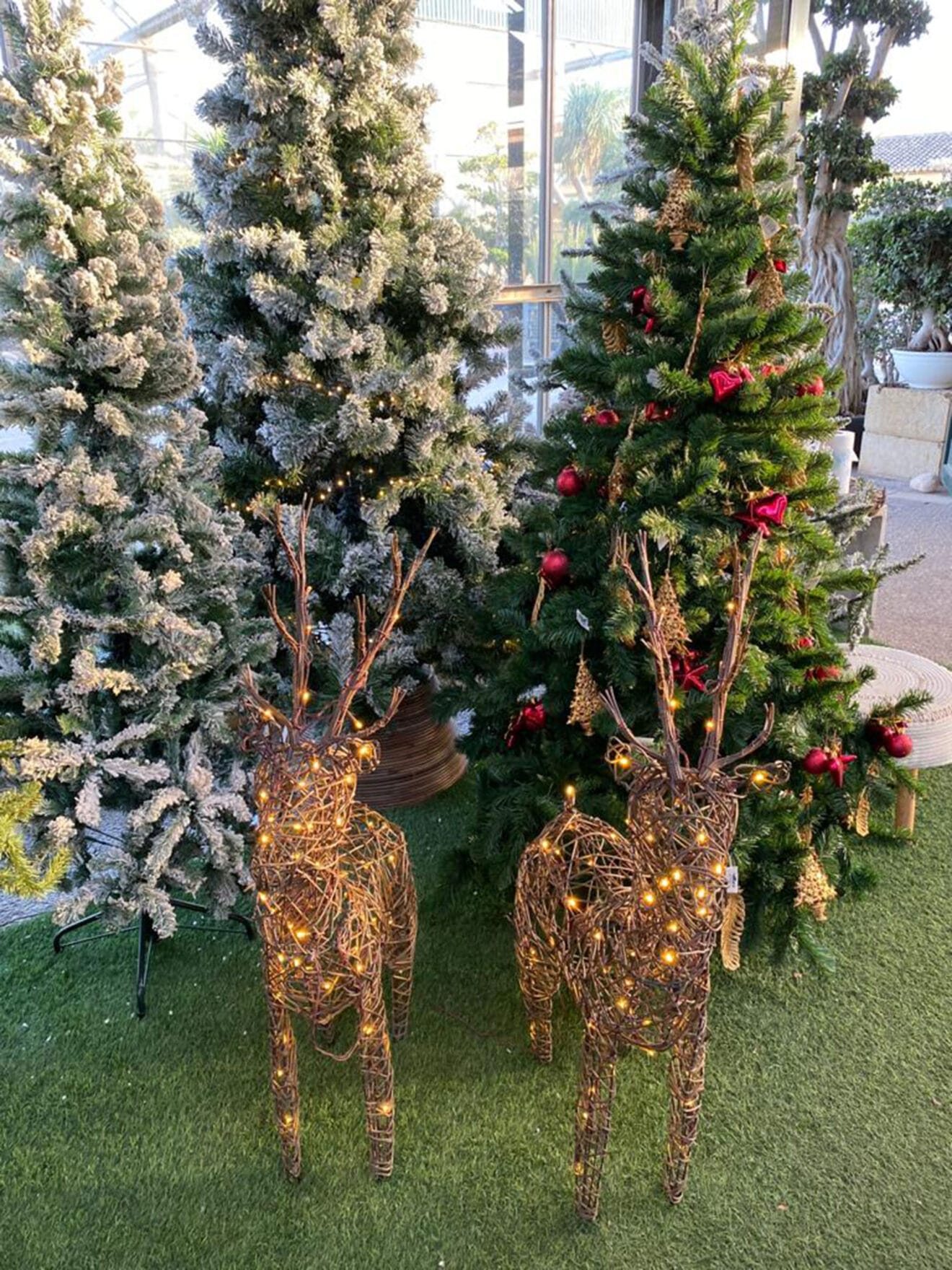 Decoración navideña en Dénia - Natura Garden