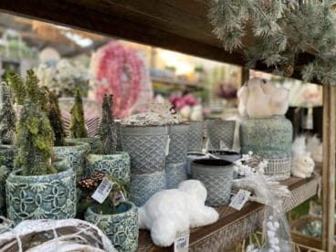 Detalles y decoración navideña en Dénia – Natura Garden