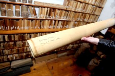 Especie de bambú que crece un metro a diario