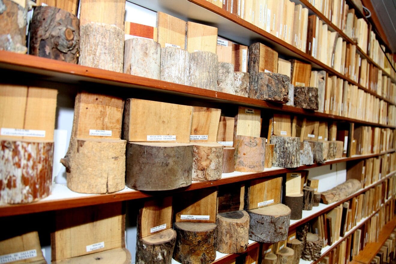 Estanterías de la xiloteca