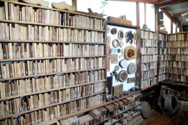 Exposición de maderas en la xiloteca