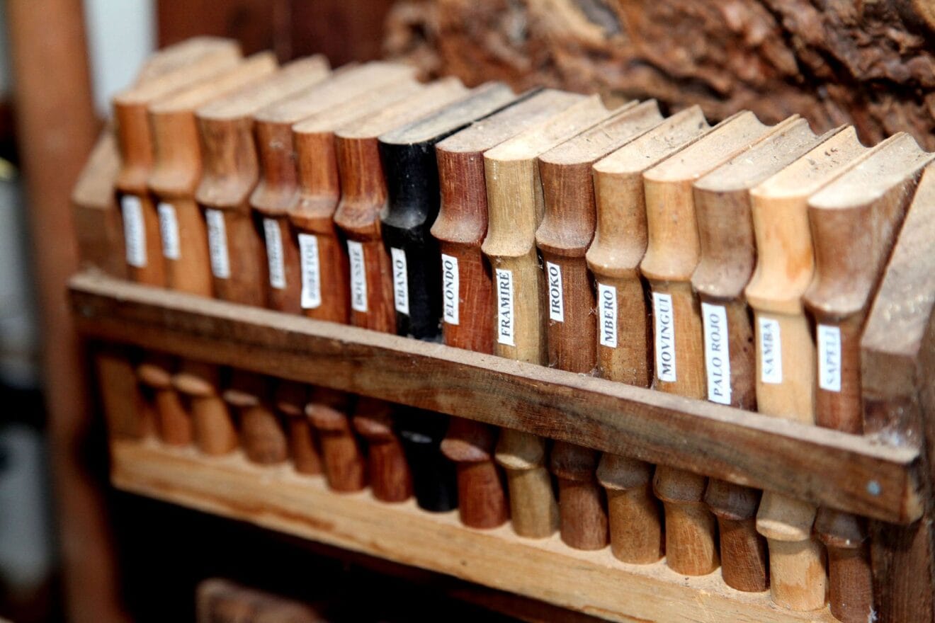 Más ejemplares de la xiloteca