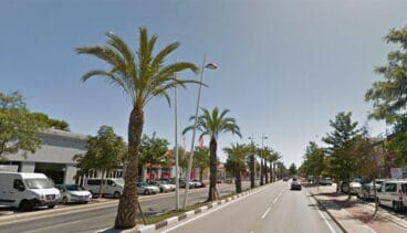 palmeras de la carretera denia ondara