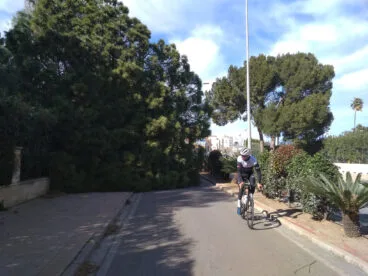 Ciclista junto a árbol caído por el viento