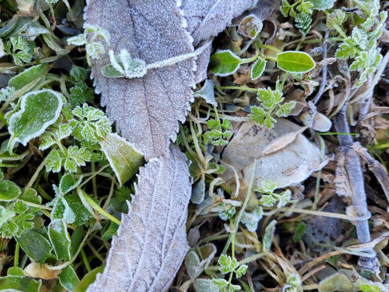 Frozen frost in Dénia