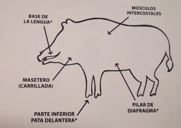 Imagen: Análisis de triquina en carne de caza en Dénia - Laboratorios González