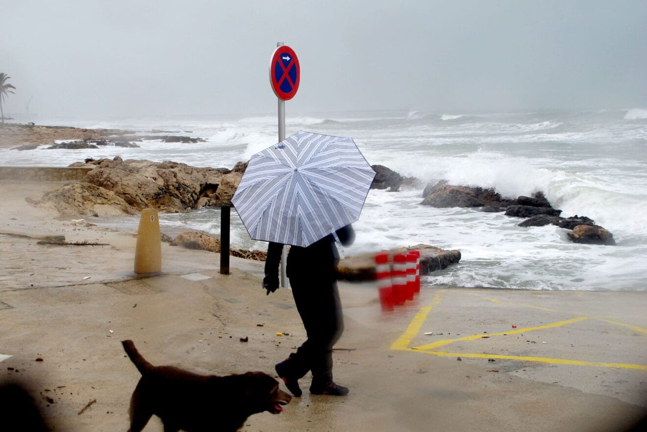 Temporal de enero de 2021 en Dénia 21