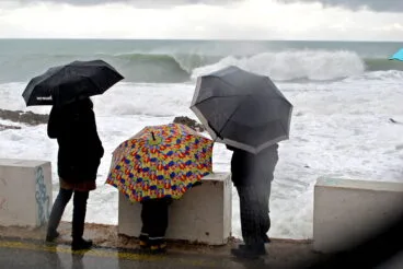 Temporal de enero de 2021 en Dénia 37