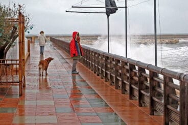 Temporal de principios de 2021 en Dénia 24
