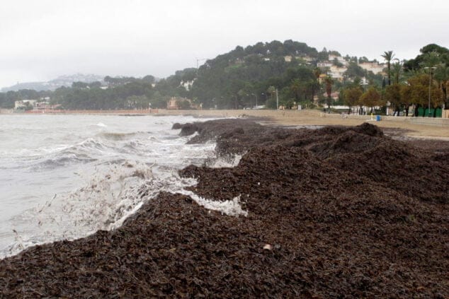 temporal de principios de 2021 en denia 38