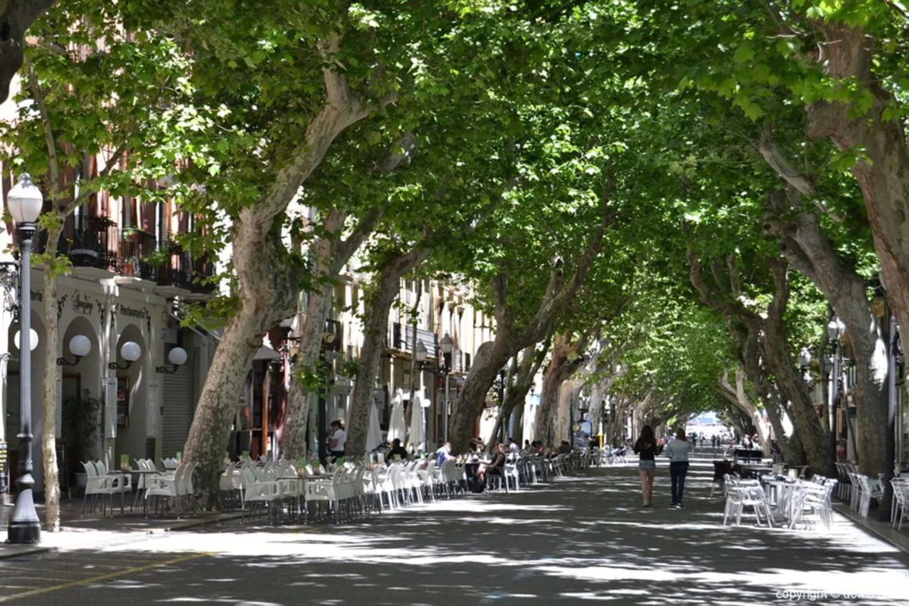 La calle Marqués de Campo, centro neurálgico de Dénia