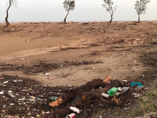 Opinión de Compromís per Dénia: "Una veritat incòmoda" 1 Imagen: Estado actual de las dunas de Punta del Raset