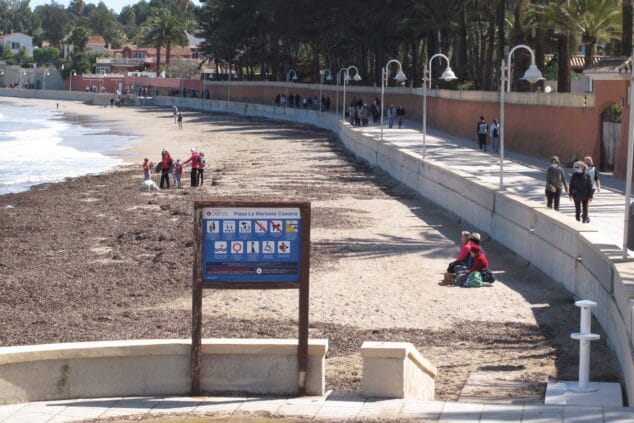 Imagen: Gente paseando por la Marineta Casiana