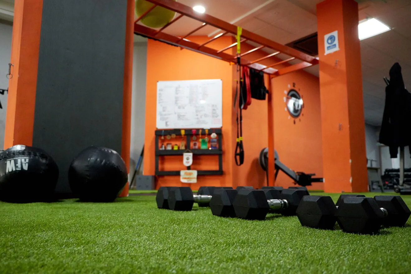 Pesas - Bfit