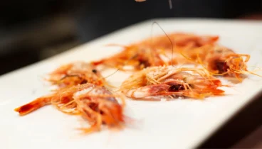 conoce-este-restaurante-donde-probar-el-marisco-fresco-de-la-zona.png