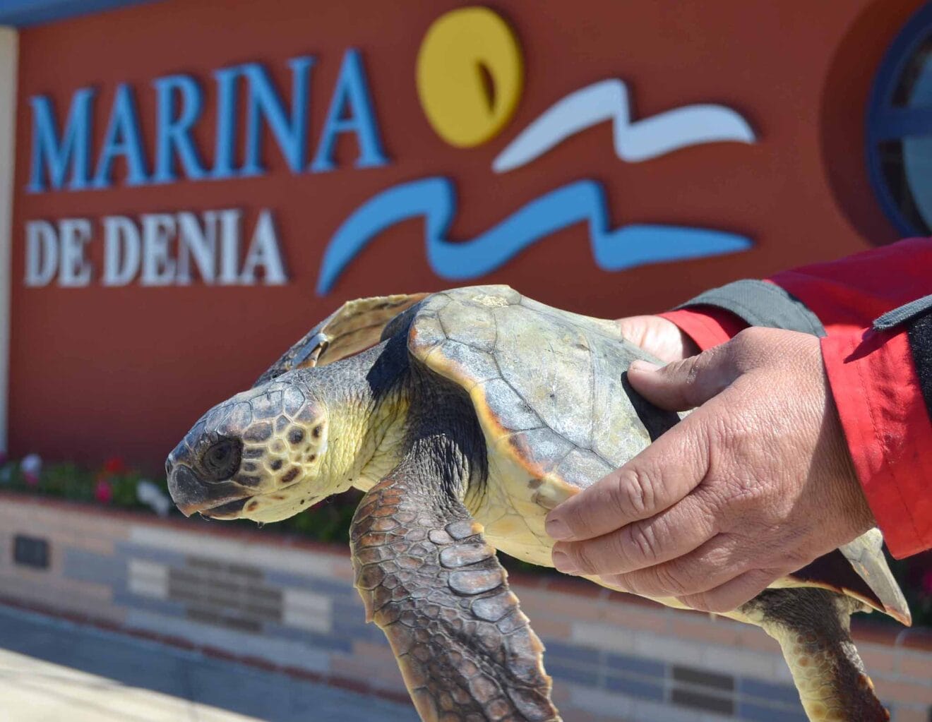 El proyecto une a puertos, navegantes y pescadores para colaborar de forma activa en la conservación del mar