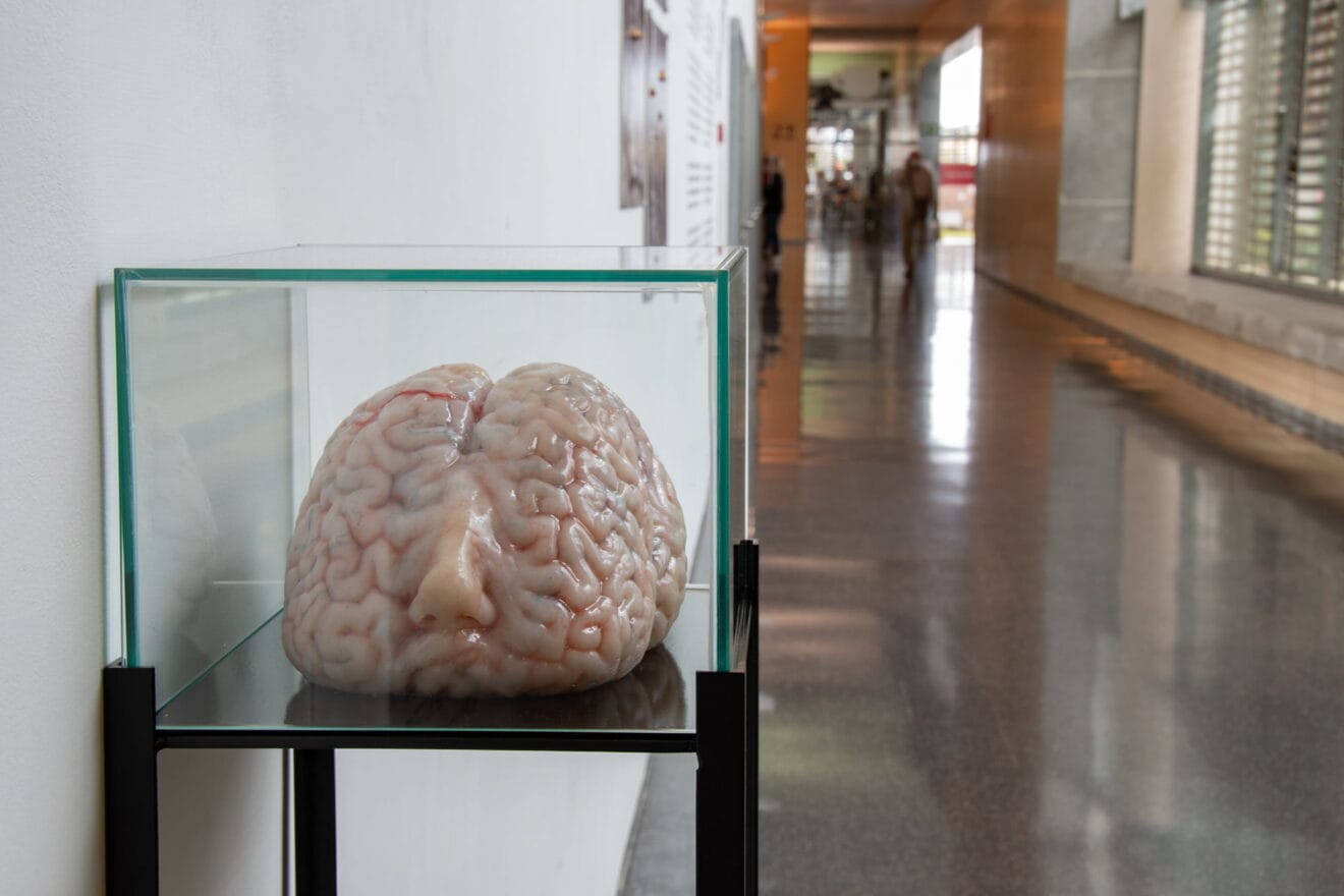 Exposición comisariada por Cristina Agàpito