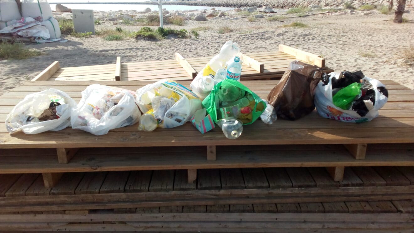 Residuos de la limpieza de la Playa del Raset
