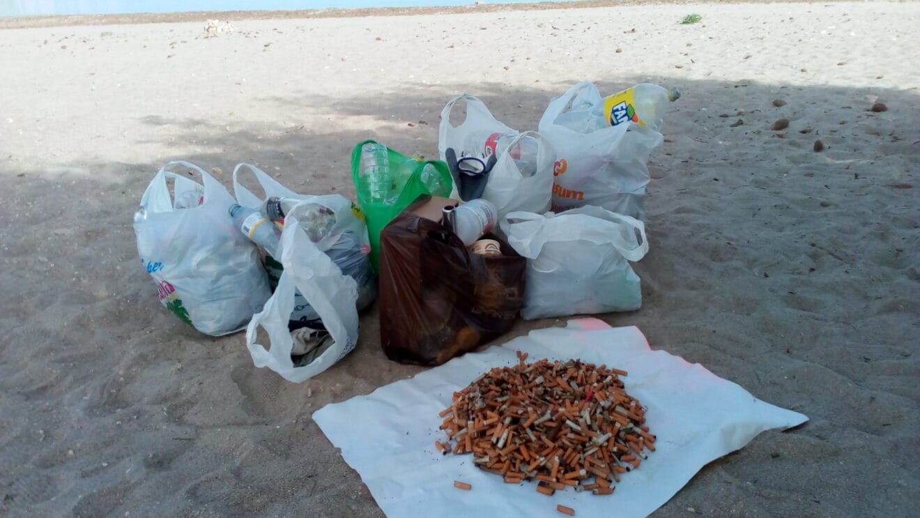 Residuos de la limpieza de la Playa del Raset