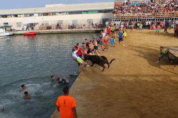 Celebración de los Bous a la Mar en la plaza de Dénia