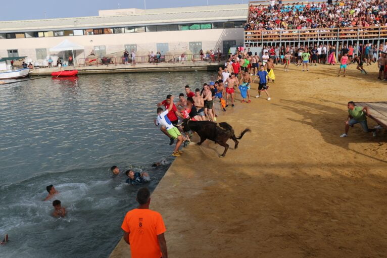 Celebración de los Bous a la Mar en la plaza de Dénia