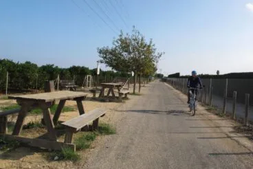 Escápate por la Vía Verde: el plan activo ideal para disfrutar de la mona de Pascua en bicicleta
