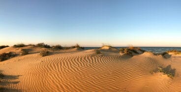 Dunas en el entorno de playa – Oliva Nova