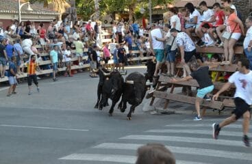 Entrada de toros en el puerto de Dénia