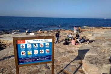 Siente el Mediterráneo en Les Rotes, donde el sonido de las olas acompaña tu mejor merienda