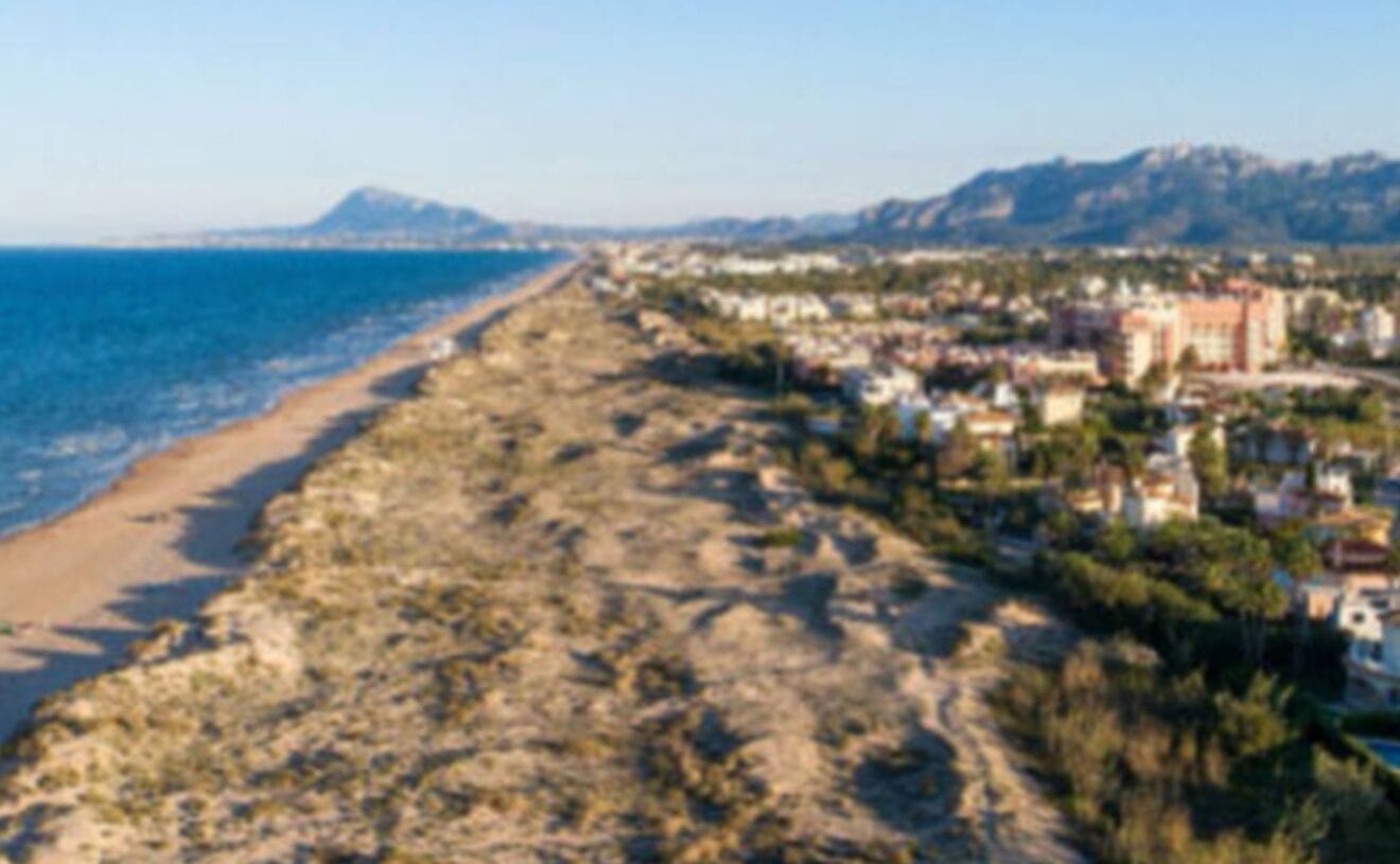 Vista aérea de la playa de Oliva Nova