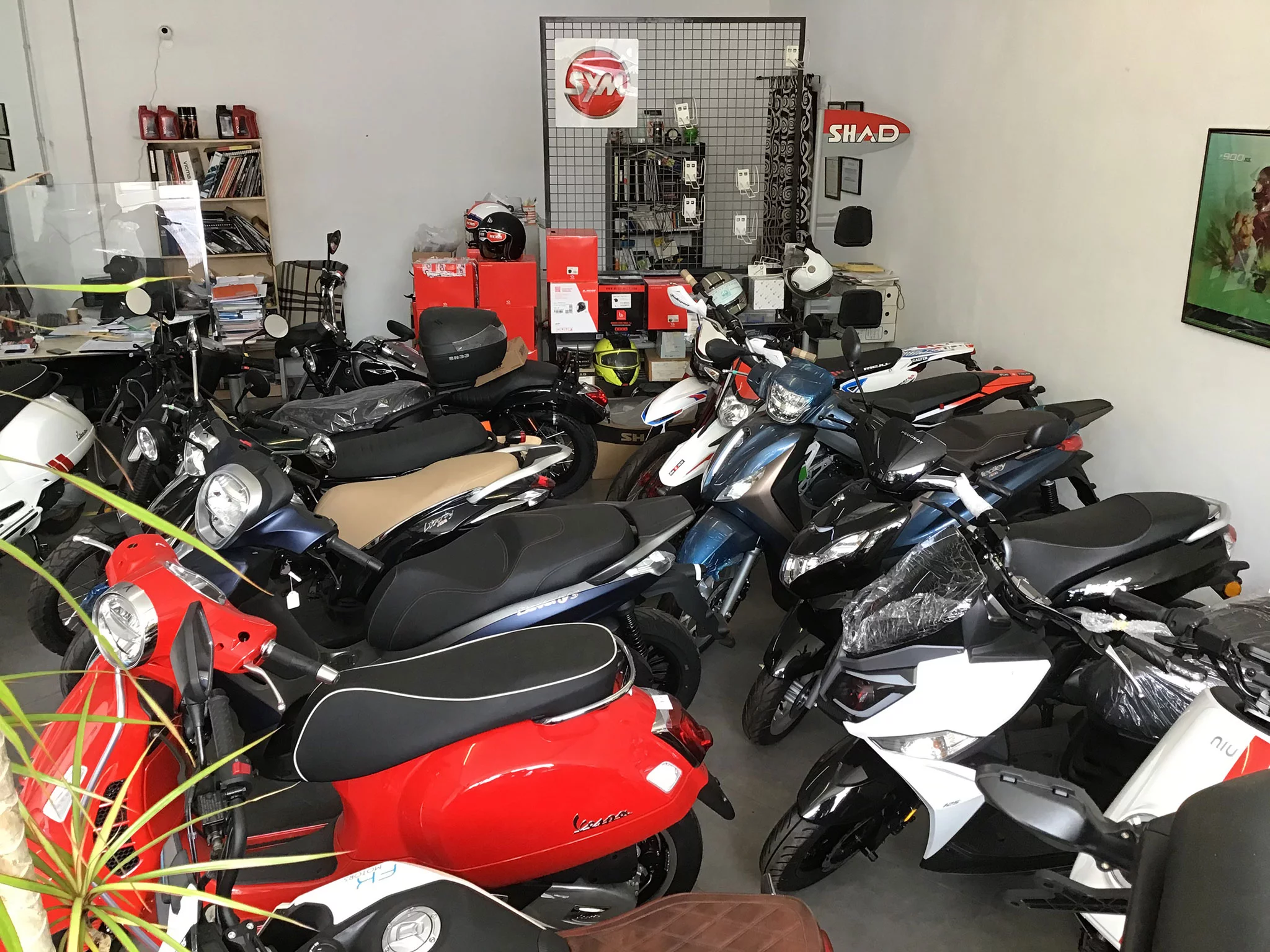 Taller de reparación y venta de motos en Dénia – Paco’s Motor