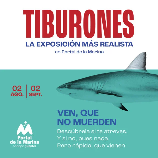Imagen: Exposicion de tiburones en Portal de la Marina