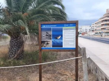 Panel del chorlitejo patinegro