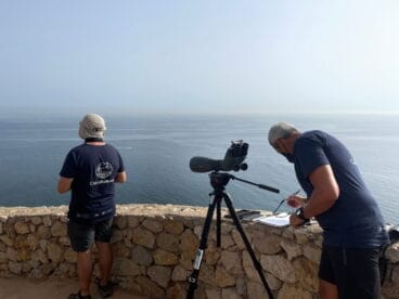 labores del proyecto cabo rourcual de la upv en denia