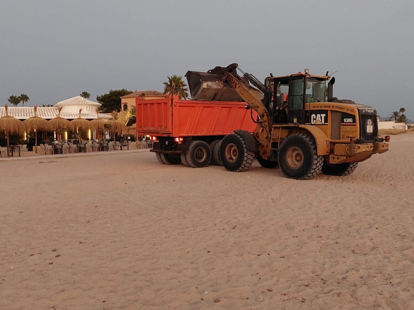 Retirada de posidonia en la zona de la Almadrava de Dénia