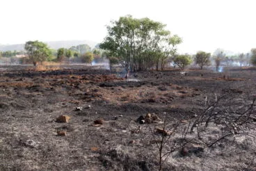 Incendio forestal en la entrada a Dénia