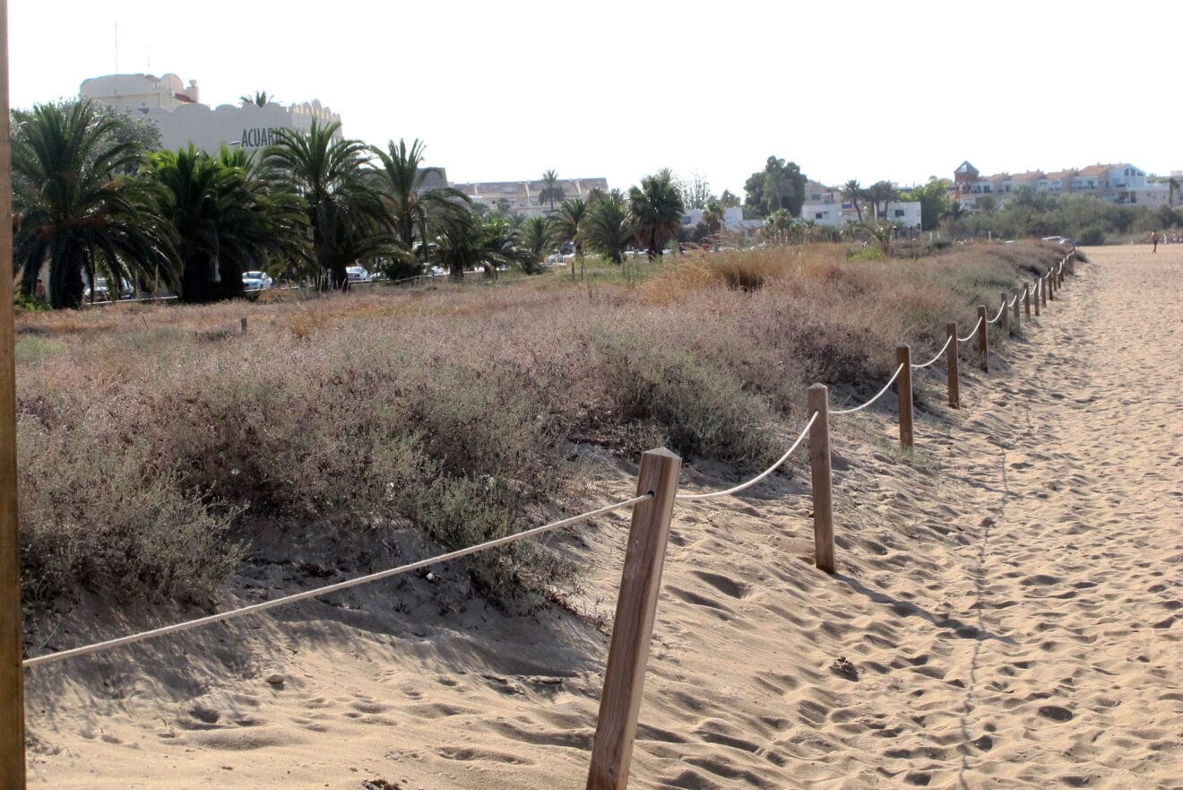 Playa Punta del Raset de Dénia 76