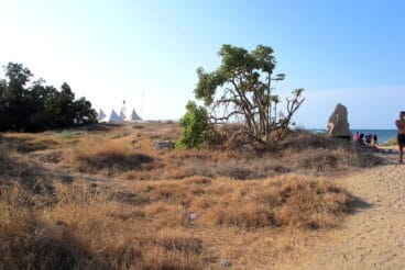 Playa Punta del Raset de Dénia 89