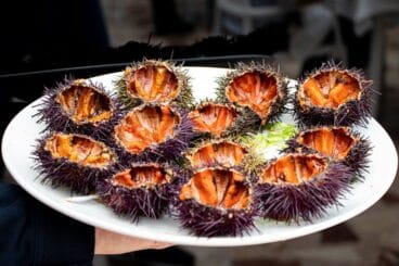 Comer erizos en Denia – Restaurante Mena