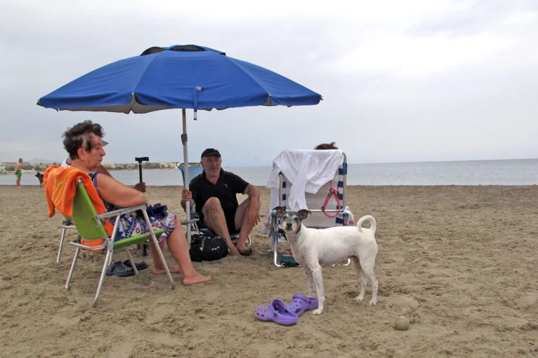 Dia de praia com animal de estimação