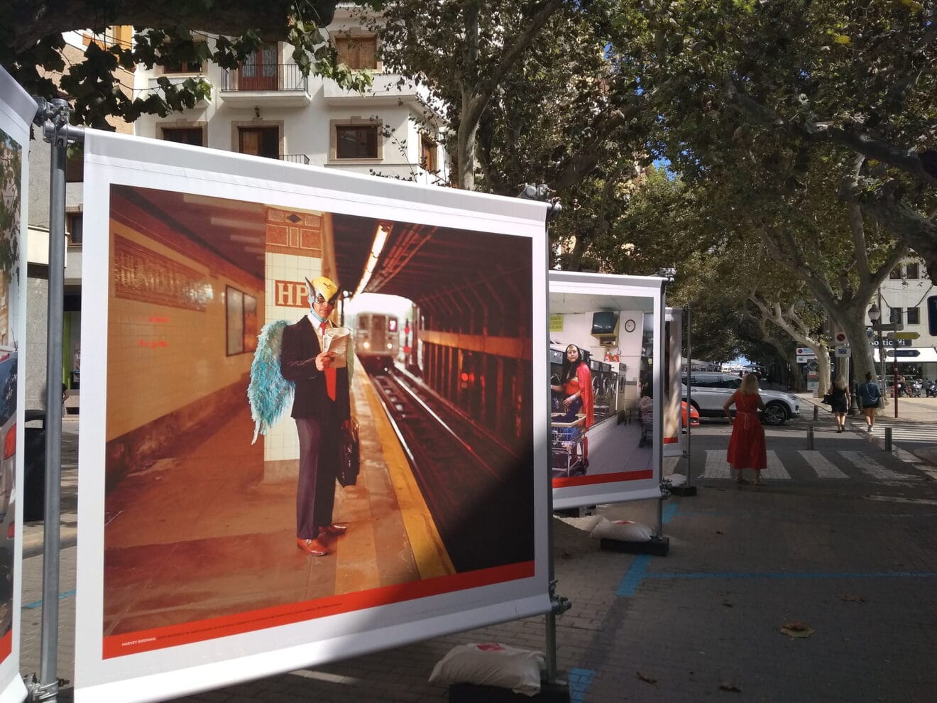 Exposición de Ojos Rojos en Marqués de Campo