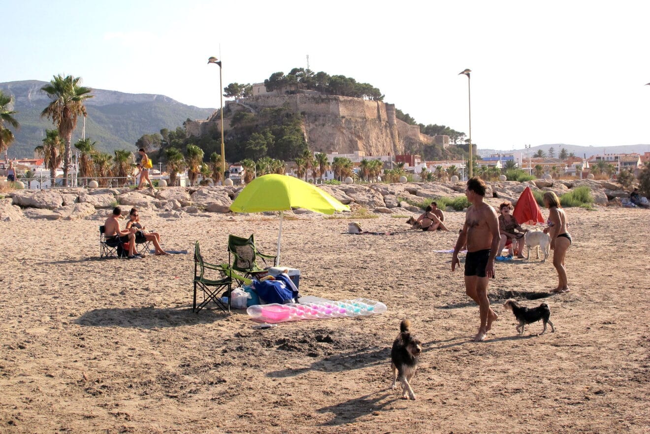 Familias con sus perros en Dénia