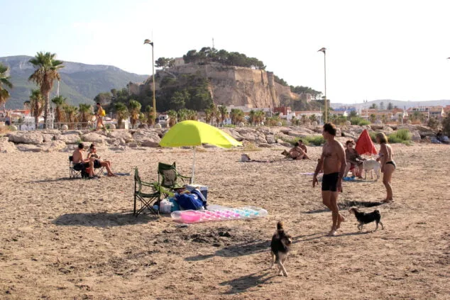 Bild: Familien mit ihren Hunden in Dénia