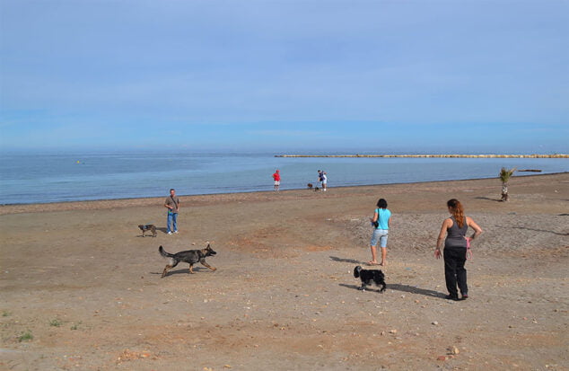 Imagen: Gente paseando con sus perros cerca de la orilla
