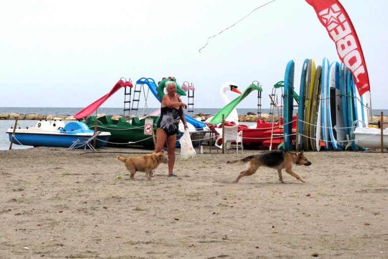 Mujer jugando con sus perros en la playa de Dénia