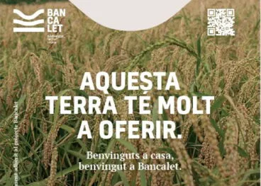 vinilo de uso promocional 1