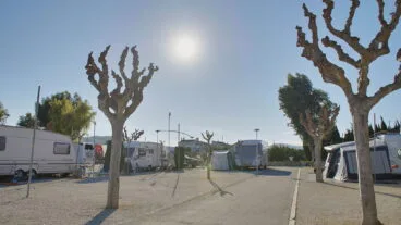 arbres podats otoncc83o hivern en càmping javea
